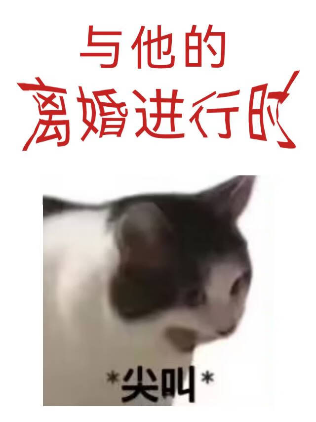 大家都在猜小说