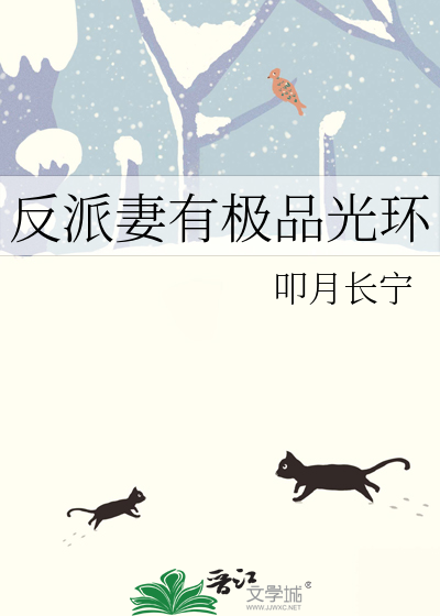 反派妻子 小说
